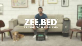 ZeeBed  The Worlds first dog bed in a box [upl. by Bowyer929]