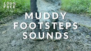 Squishy Footsteps in Mud Sound Effects  RoyaltyFree Sounds [upl. by Wilow129]