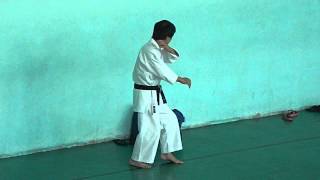 Masao Kawasoe Sensei Seminar 2013 part 6 [upl. by Nwahsyd810]