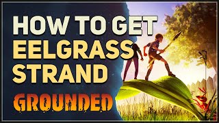 How to get Eelgrass Strand Grounded [upl. by Ellenod443]