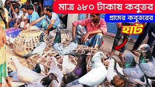 বুধহাটা কবুতরের হাট ২০২৪  kobutor hat 2024  pigeon market in Bangladesh  satkhira kobutor hat [upl. by Inait]