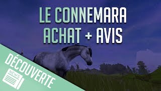 ACHAT DU CONNEMARA  Star Stable  SSO [upl. by Yhtorod986]