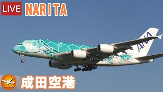 🔴LIVE at NARITA International Airport Plane Spotting 20231029 成田空港ライブカメラ 成田空港 NRTRJAA [upl. by Milan]