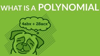 ʕ•ᴥ•ʔ What is a Polynomial Explained Properly Finally [upl. by Aloz911]