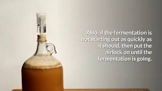 Do You Have To Use An Airlock When Fermenting » HomeBrewAdvicecom [upl. by Ellertnom]