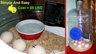 DIY  Hatching Egg Incubator Simple And Easy  Homemade Incubator [upl. by Anileve331]