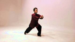 Simplified 24 Tai Chi routine [upl. by Anaeed]