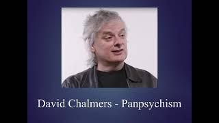 Chalmers on Panpsychism [upl. by Davidson]