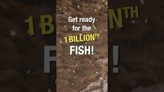 1 BILLIONTH fish stocking texasfishing [upl. by Kared]