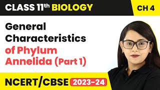 General Characteristics of Phylum Annelida Part 1  Class 11 Biology Chapter 4  NCERTCBSE [upl. by Nita]