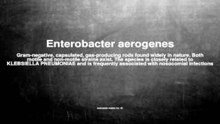 Medical vocabulary What does Enterobacter aerogenes mean [upl. by Aneahs]