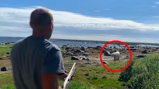 6 Polar Bear Encounters That Will Shock You [upl. by Garate]