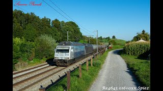 Treni dal Lötschberg Spiez 12 settembre 2019  Part 1 [upl. by Tomlin805]