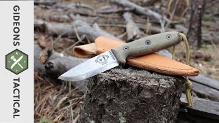 ESEE RB3 Scandi Knife I Need An RB4 [upl. by Cele]