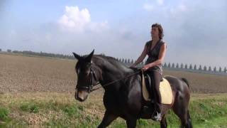 Horseback riding in Holland [upl. by Acinhoj]