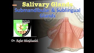 Submandibular and Sublingual Glands [upl. by Lenna885]