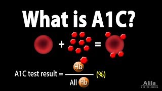 A1C Test for Diabetes Animation [upl. by Jamilla]