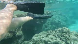 Hanauma Bay Dive Tours guided snorkel tour on June 21 2024 [upl. by Thayne563]