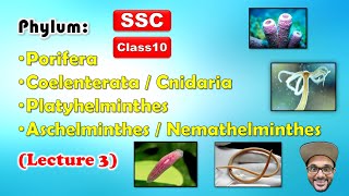 Animal Classification Lecture 3  Phylum 14  Class 10  SSC  Maharashtra state board [upl. by Annagroeg131]