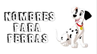 Nombres para perros  Hembras [upl. by Ahsha]