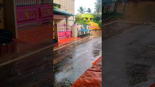 Rain ASMR Sound  Adaikalapuram thiruchendur thoothukudi video shorts viral trending [upl. by Sophie149]