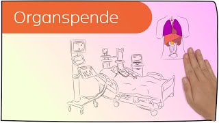 Organspende in 3 Minuten erklärt [upl. by Addiel]