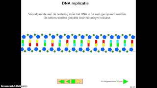 Bioplek Bouw en werking DNA [upl. by Weiman]