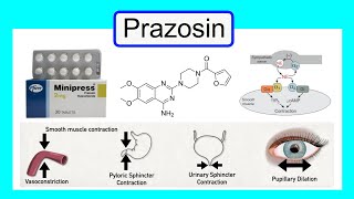 prazosin [upl. by Elden526]