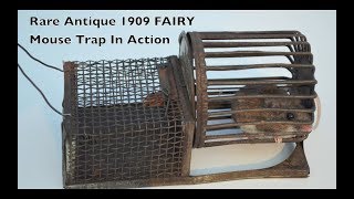 Rare Antique 1909 FAIRY Mouse Trap In Action  Complete With A Fun Exercise Wheel [upl. by Cordelie]