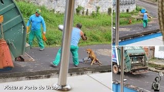 Brazilian binman dragged injured dog to his lorry then threw it in [upl. by Holton592]