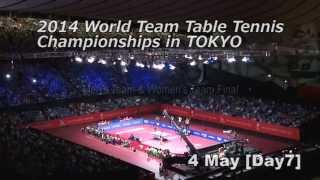 WTTTC 2014  Video Review of Day 7 Finals [upl. by Merry589]