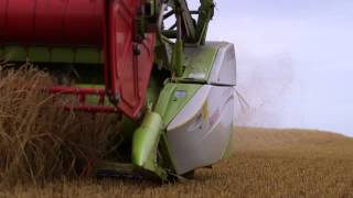 UK Spring Barley World Harvest Record Yield [upl. by Sirromed981]