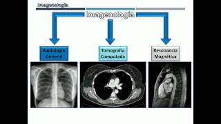 Generalidades de Imagenología para Anatomía [upl. by Mechelle]