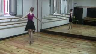 Amazing ballet Waltz No 14 in E Minor [upl. by Biebel]