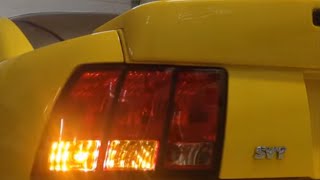 1999 2001 cobra tail lights install part 2 9901 Cobra tail lights Exports Ambers [upl. by Vona]