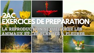 Série des exercices de la reproduction sexuée chez les animaux et chez les plantes à fleur [upl. by Malha389]