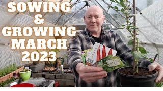 Sowing amp Growing March 2023 Gardening Allotment UK Grow Vegetables At Home [upl. by Byrle]