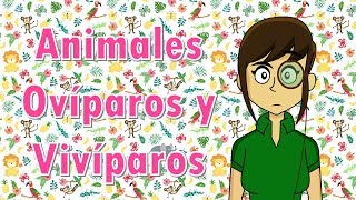 Clasificación de animales ovíparos vivíparos y ovivíparos [upl. by Billat]