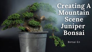 Juniper Bonsai Rock Planting [upl. by Aseen]