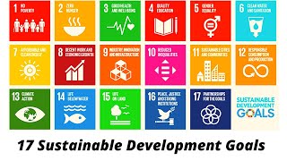 Sustainable Development Goals by United NationsUrdu hindi  SDGS and Pakistan sociologierr [upl. by Mccowyn]