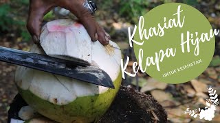 Khasiat Kelapa Hijau Buat Kesehatan [upl. by Arahc]