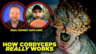 The Last of Us CORDYCEPS Myths DEBUNKED By Real Fungus Expert [upl. by Duston]