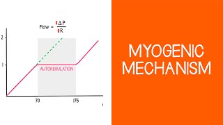 Costanzo Physiology Chapter 6B Renal Physiology Glomerular Filtration Rate GFR  Study This [upl. by Ettesyl]