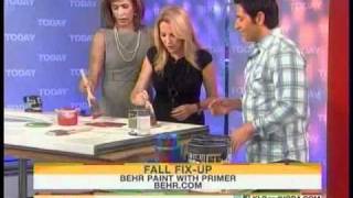 AllPro HS20 featured on the TODAY Show  Fall Fix Ups with Frank Fontana [upl. by Gordy]