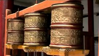 Buddhist prayer wheels spinning in Leh Ladakh [upl. by Alton27]