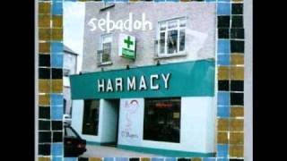 Sebadoh  I Smell a Rat [upl. by Picco]