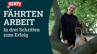 Fährtenarbeit mit Hund – in 3 Schritten zum Erfolg  RINTI [upl. by Aneri]