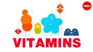 How do vitamins work  Ginnie Trinh Nguyen [upl. by Edlin549]