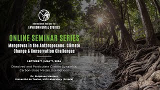 Mangroves in the Anthropocene 2024  Lecture 7  Dissolved and Particulate Carbon Dynamics [upl. by Yetak994]