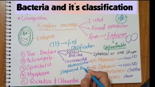 Classification of bacteria on the basis of morphologyStructureFull explaination [upl. by Laen35]